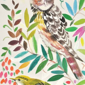 SCD0027 owl portrait