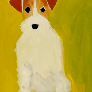 SCD0115 dog 1