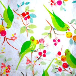 SCD0446 parakeets