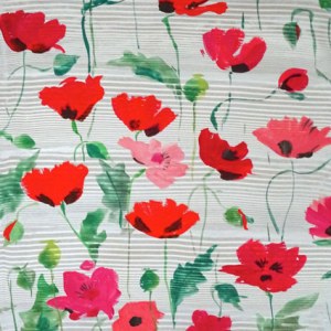 SCD0171 poppies  DSC04702