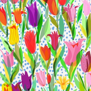 SCD0480 tulips