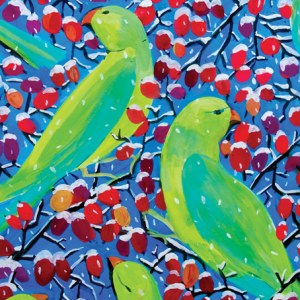 SCD0645 PARAKEETS2 feb