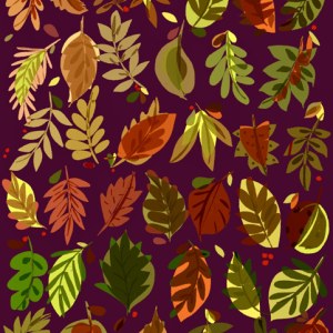 Sarah Campbell SCD0555 autumn