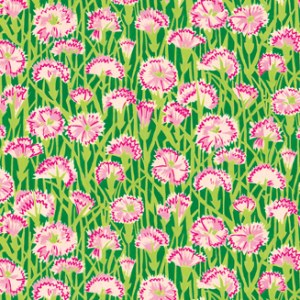 CCA0026 Carnations mgscn