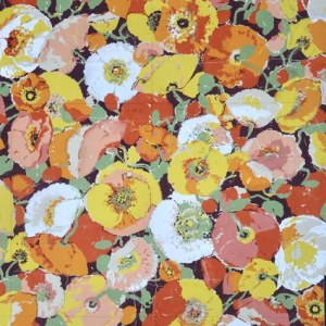 CCA0046 poppies crop
