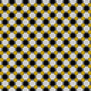 CIB0339 Criss Cross