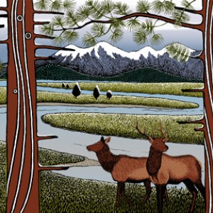 CIB0063 YellowstonePD Y CROP