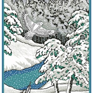 CIB0068 SnowyOwl