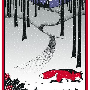 CIB0235 RedFox