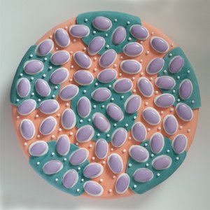 CIB0164   Constellation Cake   TFHRA Y