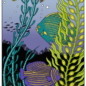 CIB0074 Fishes