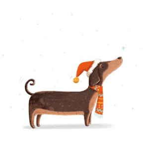 AR KLR0162 daschund