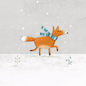 AR KRL0114 fox AW Y