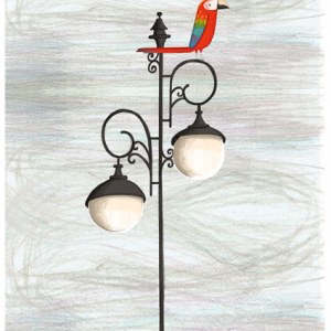 AR KRL0136 PARROT