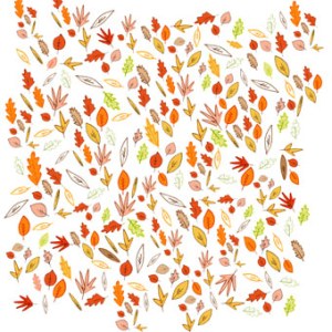 AR KRL0008 leaves