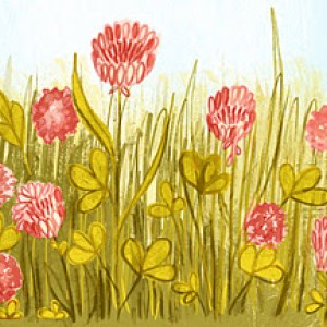 AR KRL0012 clover