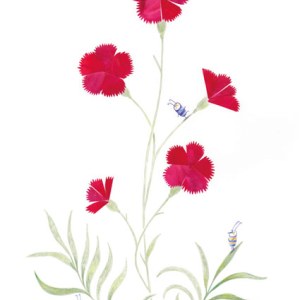AR KRL0171 Flower 1
