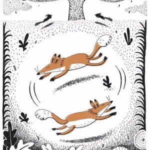 AR KRL0182 foxes