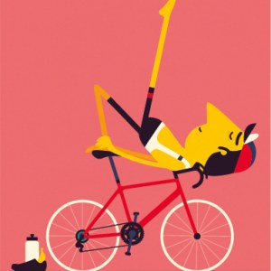 MPA0130 the modern mamil30 crop Y
