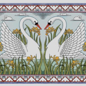 CIB0345 Swans