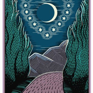 CIB0347 Starry Starry Night LR