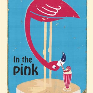 PTH0084-flamingo