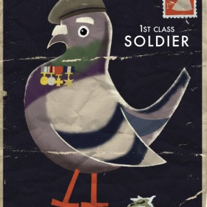 PTH0075-pigeon