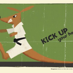 PTH0078-Kangeroo