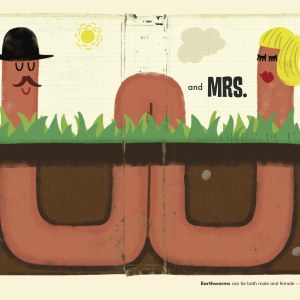 PTH0079-Worm