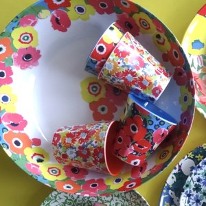 picnic ware  CROP