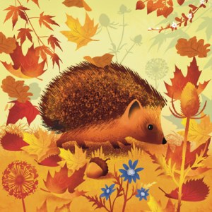 David Hitch  AR DVH0381 HEDGEHOG