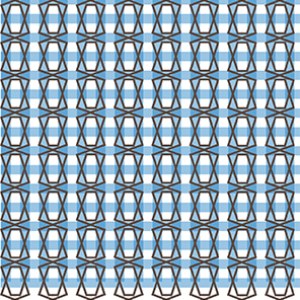 NAN0153 Gingham Patt Y