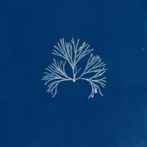 GLM B.1980.16.197
