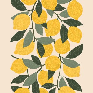 AP KTR 0002 Lemons-Katerina Kerouli