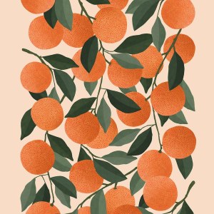 AP KTR0003 oranges Katerina Kerouli