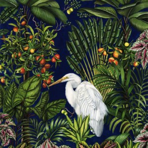 Naomi McCavitt AP NMC0006 exoticbird copy