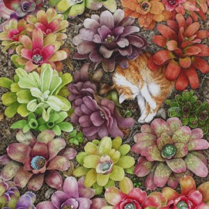 AP PAE0001 Cat napping in Neogegelias-Pauline Ellison
