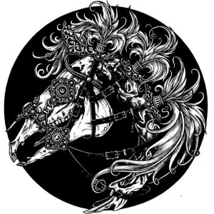 AP STA0008 horse skull - Sally Taylor