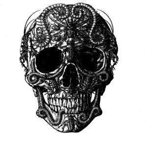 AP STA0009 skull - Sally Taylor