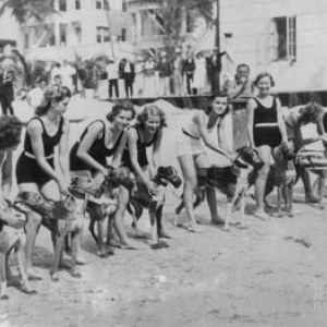 TP EU061609dog racing miami