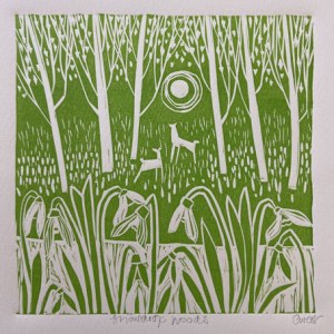 Claire West CWE0269 SnowdropWood