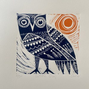 Claire West CWE0271 LittleOwl