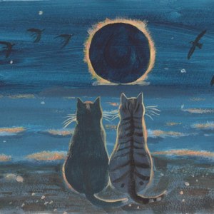 Mary Stubberfield MLS0751eclipsewatchersTFHRA