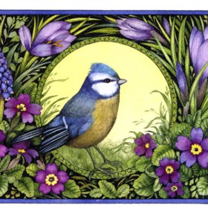 Valerie Greeley VG1131 blue tit