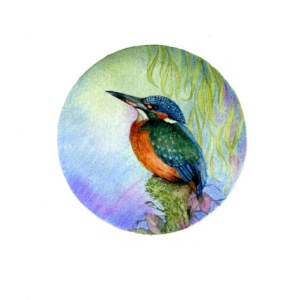 Valerie Greeley VG1136 kingfisher