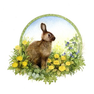 Valerie Greeley VG1137 rabbit
