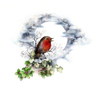 Valerie Greeley VG1138robin moon