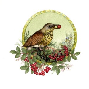 Valerie Greeley VG1142 bird with berries
