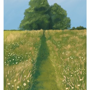 AR NSM0010 Summer Field 1-Natalie Smillie