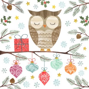 IMH0036 christmasowl- Imogen Hudson